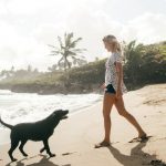 Best vacation spots for pets