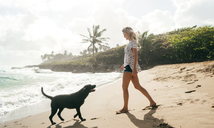 Best vacation spots for pets