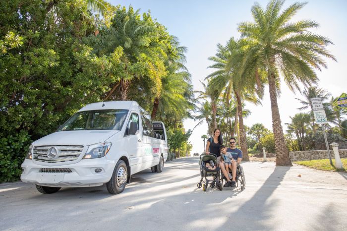 Accessible travel agencies