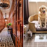 Best pet-friendly hotels